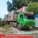 Suwan Rungrueang Recycle