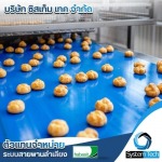 ตัวแทนจำหน่ายสายพานลำเลียง - Systemtech.