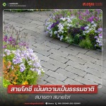 Sor.Aroon Concrete Pathumthani Company Limited