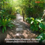 ไอเดียจัดสวนทรอปิคอลในบ้านง่ายๆแบบไม่ต้องง้อช่าง - โรงงานผลิตภัณฑ์คอนกรีต ส.อรุณ คอนกรีต ปทุมธานี