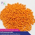 โรงหลอมเม็ดพลาสติก - โรงงานรีไซเคิลพลาสติก ชลบุรี