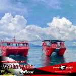 Boat to Koh Samet, Phe Pier - White Shark