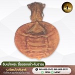รับซื้อกระเพาะปลาโบราณ - รับเช่าพระ ซื้อของเก่า-โบราณ - บ.รัตนโกสินทร์