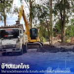 แมคโครให้เช่าพร้อมคนขับ - ช้างแมคโครให้เช่า