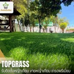 PREMIUM ARTIFICIAL GRASS COMPANY LIMITED