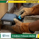 บริการรับไล่หนู กำจัดหนู ราคาประหยัด เชียงใหม่ - กำจัดตุ๊กแก กำจัดปลวก เชียงใหม่