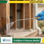 บริษัทกำจัดปลวก ฉีดปลวกด้วยสมุนไพร ในเชียงใหม่ - กำจัดตุ๊กแก กำจัดปลวก เชียงใหม่