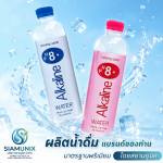 SIAMUNIX COMPANY LIMITED