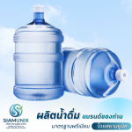 SIAMUNIX COMPANY LIMITED