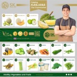 รับแพ็คสินค้าส่งออกต่างประเทศ - บริษัทส่งออกผักผลไม้ตามฤดูกาล
