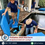 Fumetsu Koi Farm 2022