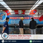 ฟาร์มปลาคาร์ฟ ใกล้ฉัน - ฟาร์มปลาคาร์ฟนำเข้าจากญี่ปุ่นแท้ 100% - Fumetsu Koi Farm
