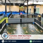 Fumetsu Koi Farm 2022