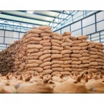 Cashew nut factory - Kiattikhun Phanich Shop