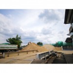 Sand top, Pathum Thani - Khunkee Phanich Co., Ltd.