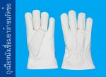 ถุงมือหนังเชื่อมอาร์กอนรัดข้อ - ผู้ผลิตถุงมืออุตสาหกรรม ถุงมือราชา