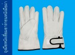 ถุงมือชื่อมอาร์กอนหนังมือผ่า - ผู้ผลิตถุงมืออุตสาหกรรม ถุงมือราชา