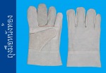 ถุงมือหนังท้อง - Rajah Glove Co., Ltd. - Industrial Glove manufacturer