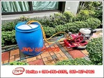 บริการกำจัดปลวกกรุงเทพฯ - รับกำจัดปลวกนนทบุรี - JMW เซอร์วิส