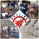 รับกำจัดปลวก สุรินทร์ - กำจัดปลวกสุรินทร์ - ฮ็อทไลน์ เคมีคอล เซอร์วิส