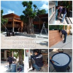กำจัดปลวก ภาคอีสาน - กำจัดปลวกสุรินทร์ - ฮ็อทไลน์ เคมีคอล เซอร์วิส