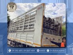 บัวปูนปั้น บ้านโรมันสมุทรสาคร (2) - โรงงานผลิตคิ้วบัว บัวปูนปั้น - บ้านโรมันสมุทรสาคร