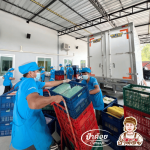 รับผลิตหมูปิ้ง ราคาส่ง - โรงงานผลิต-ขายส่งหมูปิ้ง