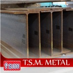 เหล็กไวด์แฟรงค์ Wide Flange   - เหล็กรูปพรรณ สมุทรปราการ TSM 