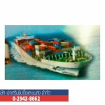 บริการขนส่งทางเรือ - บริษัท เซ้าเทรินชิปปิ้งและขนส่ง จำกัด