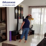 บริษัทกำจัดปลวกขึ้นบ้าน - ห้างหุ้นส่วนจำกัด ชัยชนะพัฒนา เซอร์วิส