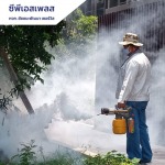 รับฉีดพ่นกำจัดยุง - ห้างหุ้นส่วนจำกัด ชัยชนะพัฒนา เซอร์วิส