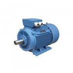 มอเตอร์ไฟฟ้า 3 สาย / THREE PHASE MOTORS - บริษัท เจริญเมืองแมชชินเนอรี่ จำกัด