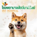 โรงพยาบาลสัตว์ย่านคลองสอง