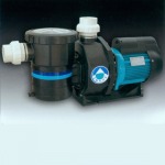 Pool Pumps - บริษัท พี อี เคมีคอล แอนด์ เซอร์วิส จำกัด