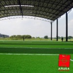 บริการให้เช่าสนามฟุตบอลหญ้าเทียมในร่ม - รับสร้างสนามฟุตบอลหญ้าเทียม - เอ พลัส เอ ดีไซน์ 