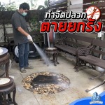 กำจัดปลวกตายยกรัง บางบัวทอง - กำจัดปลวก บางบัวทอง เอส วี โฮมอินเตอร์