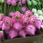 ดอกไม้ประดิษฐ์ พิษณุโลก - ร้าน สิริพรรณดอกไม้ผ้า พิษณุโลก 