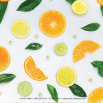 กลิ่นน้ำหอมแนวสดชื่น Citrus - บริษัท อินเตอร์ เทสท์ เซ้นต์ จำกัด