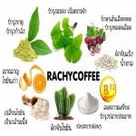 กาแฟกิงโก๊ะพลัส ราชี่คอฟฟี่ - กาแฟบำรุงสมอง ลดไมเกรน ราชี่ คอฟฟี่