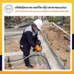 รับกำจัดปลวกขอนแก่น - บริษัท มิตรภาพ เซอร์วิส กรุ๊ป จำกัด (สาขาขอนแก่น)