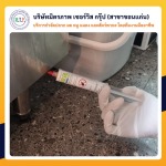 ขอนแก่นกำจัดแมลงสาบ - บริษัท มิตรภาพ เซอร์วิส กรุ๊ป จำกัด (สาขาขอนแก่น)