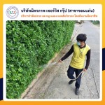 บริษัทกําจัดแมลงขอนแก่น - บริษัท มิตรภาพ เซอร์วิส กรุ๊ป จำกัด (สาขาขอนแก่น)