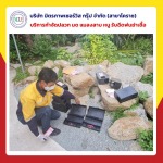 บริการรับกำจัดหนูโคราช - บริษัท มิตรภาพ เซอร์วิส กรุ๊ป จำกัด (สาขาโคราช)