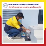 รับกำจัดหนูโคราช - บริษัท มิตรภาพ เซอร์วิส กรุ๊ป จำกัด (สาขาโคราช)