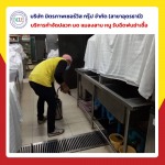 รับกำจัดแมลงสาบอุดร - บริษัท มิตรภาพ เซอร์วิส กรุ๊ป จำกัด (สาขาอุดรธานี)