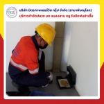 บริษัทกำจัดหนู สัตว์รบกวน - บริษัท มิตรภาพ เซอร์วิส กรุ๊ป จำกัด (สาขาพิษณุโลก)