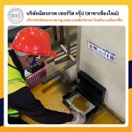 บริษัทกำจัดหนูในเชียงใหม่ - บริษัท มิตรภาพ เซอร์วิส กรุ๊ป จำกัด (สาขาเชียงใหม่)