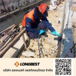 บริษัทกำจัดปลวก ราชบุรี - บริษัทกำจัดปลวก ลองเบสท์ เพสท์คอนโทรล