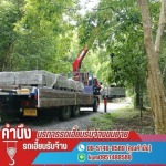 เช่ารถเครน 50 ตัน นครปฐม - ให้เช่ารถเฮี๊ยบรับจ้างขนย้าย นครปฐม - ธันวารถเฮี๊ยบรับจ้าง