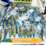 ขายส่งกุ้งสด - ขายส่งอาหารทะเลตลาดธนบุรี เฮงเฮงอาหารทะเลสด